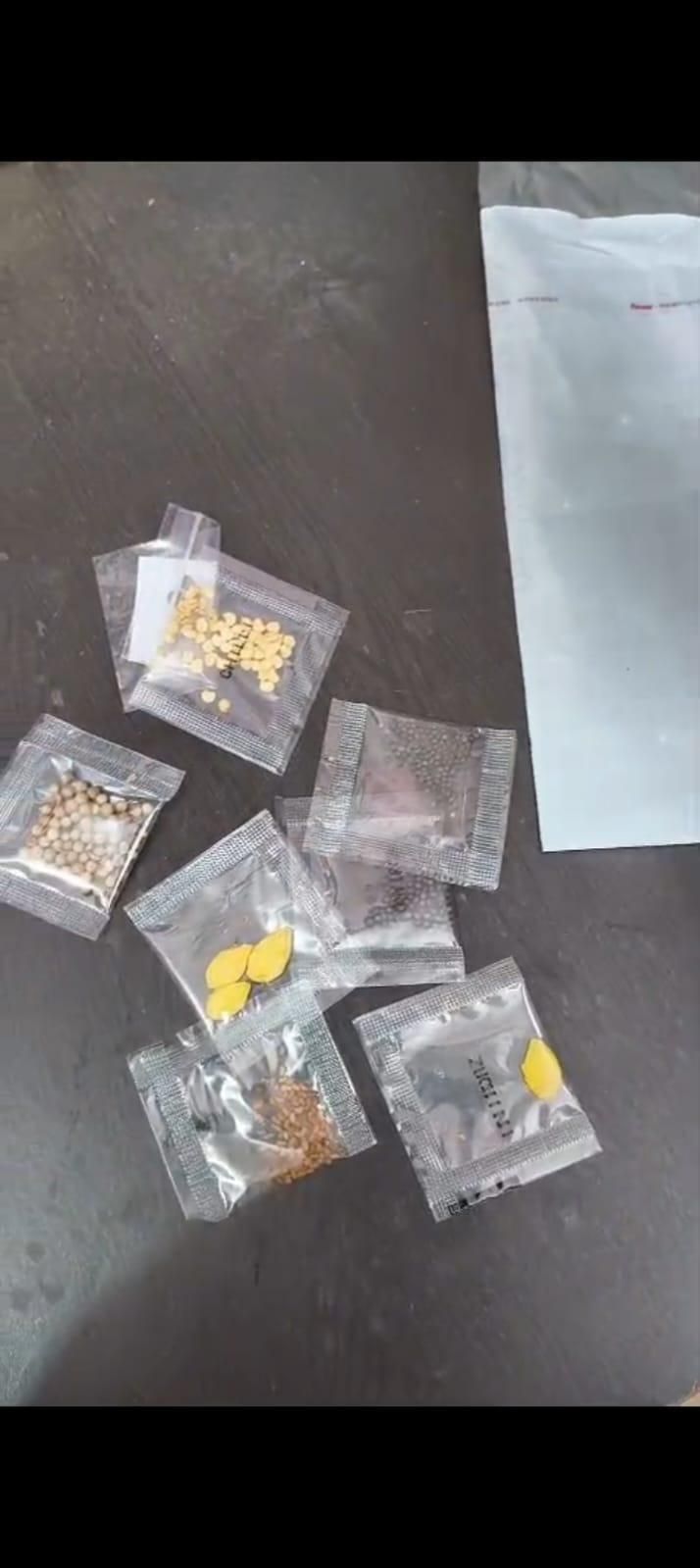 Heirloom Veggie Seed Kit 35 Pack