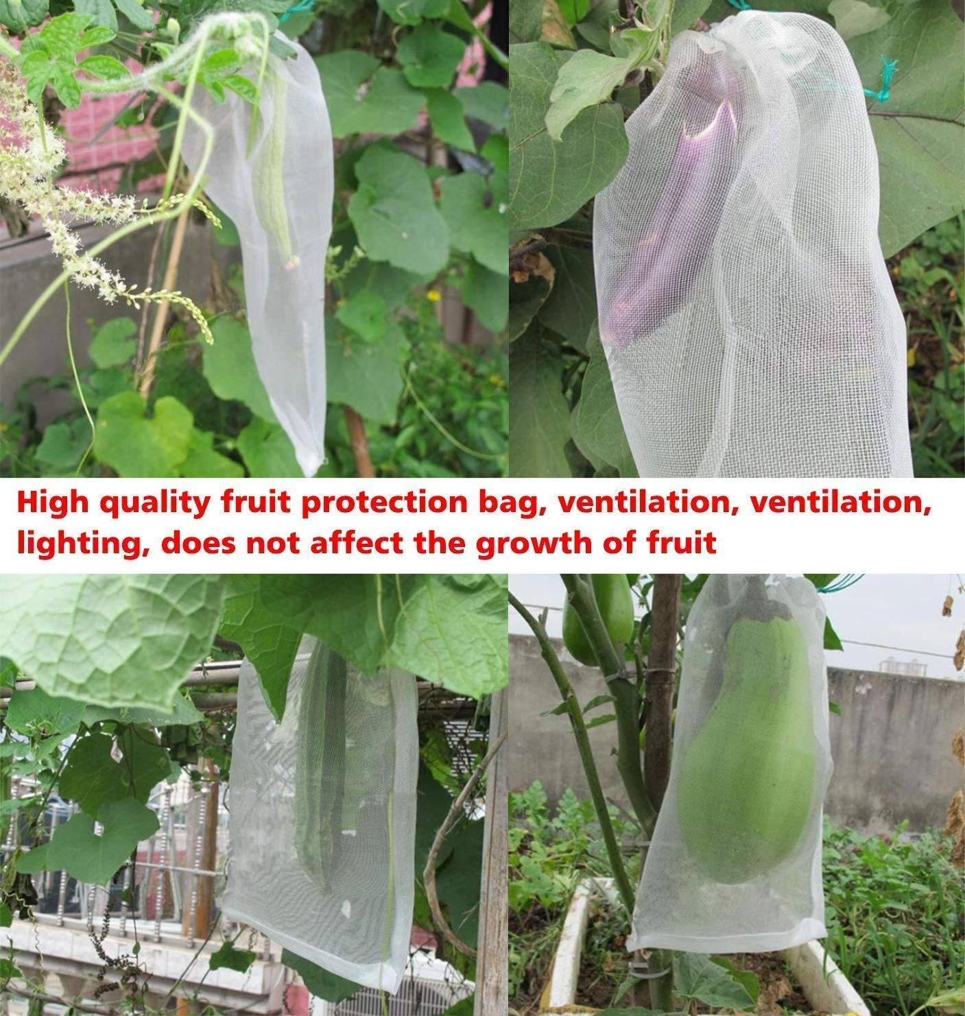 Fruit Protection Bags with Drawstring (Pack of 50)