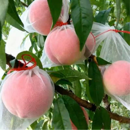 Fruit Protection Bags with Drawstring (Pack of 50)